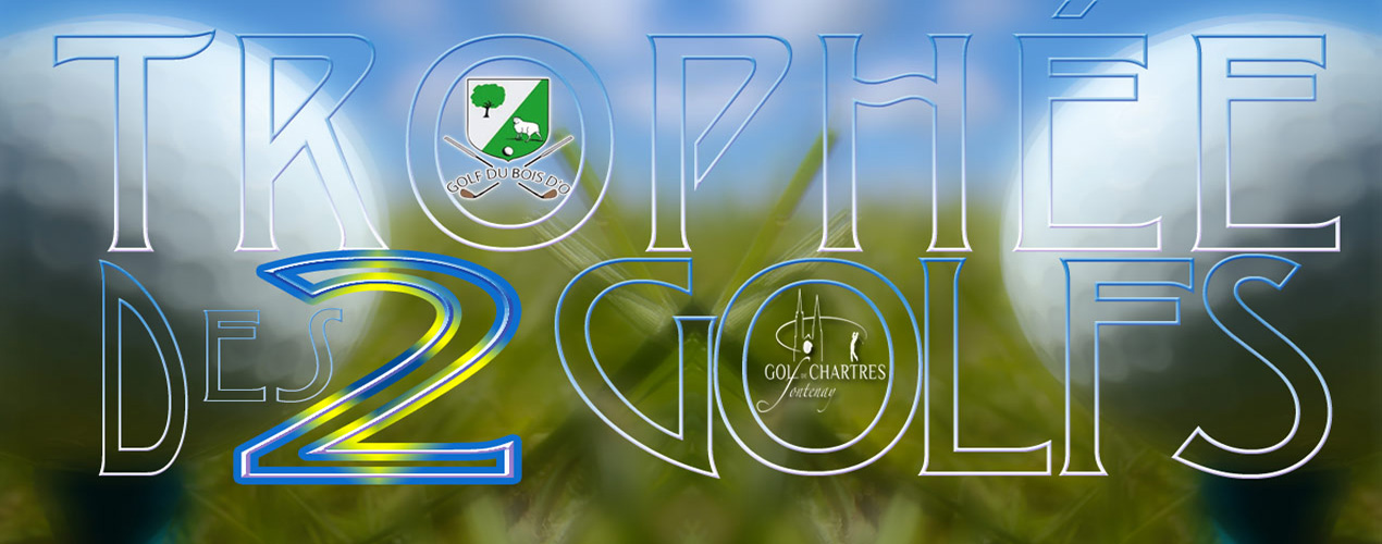 logo-td2g